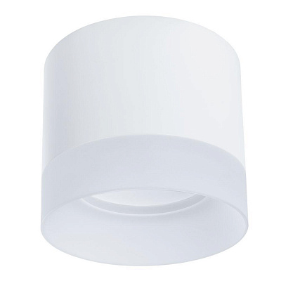 Светильник потолочный Arte Lamp A5554PL-1WH