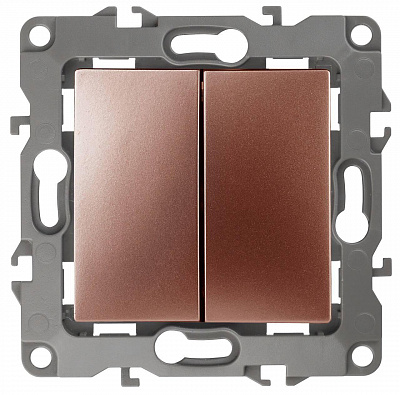 Переключатель двухклавишный ЭРА 12 10AX 250V 12-1106-14 Б0019297