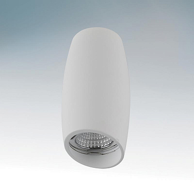 Точечный светильник накладной Lightstar 214466